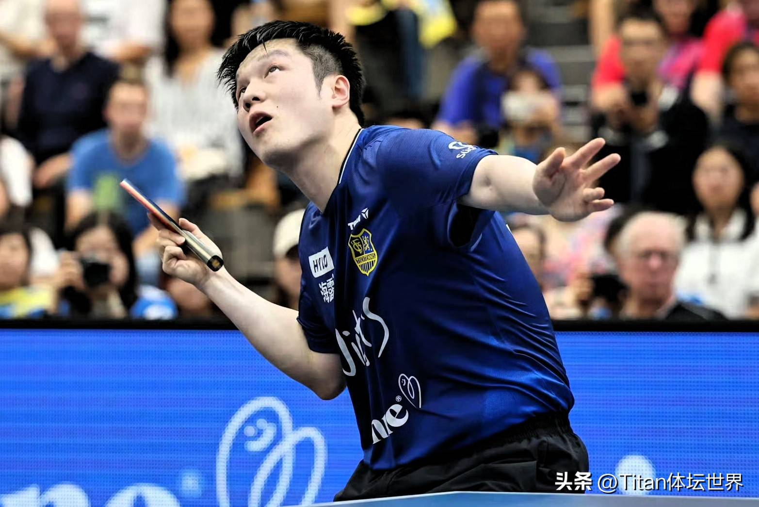 日本乒乓球队强势比利时乒乓球队,樊振东爆发神勇的简单介绍 日本乒乓球队强势比利时乒乓球队,樊振东爆发神勇的简单介绍